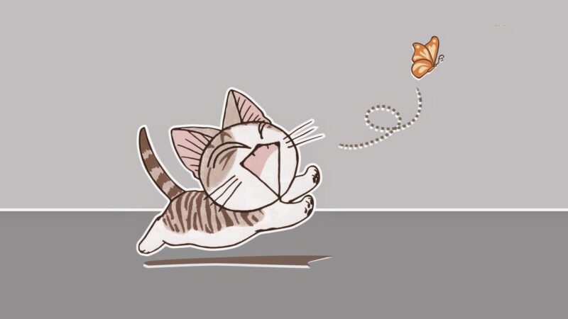 ảnh mèo bựa buồn cười bắt bướm