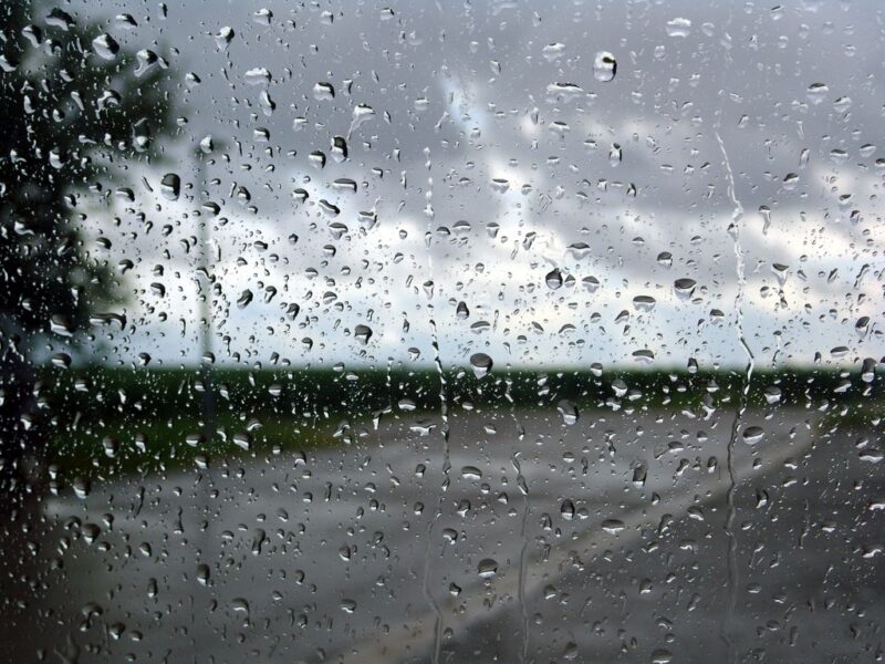 ảnh mưa đẹp rơi bám bên khung cửa sổ