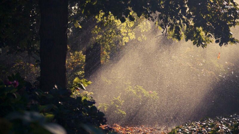 ảnh mùa hè - cơn mưa phùn mùa hè