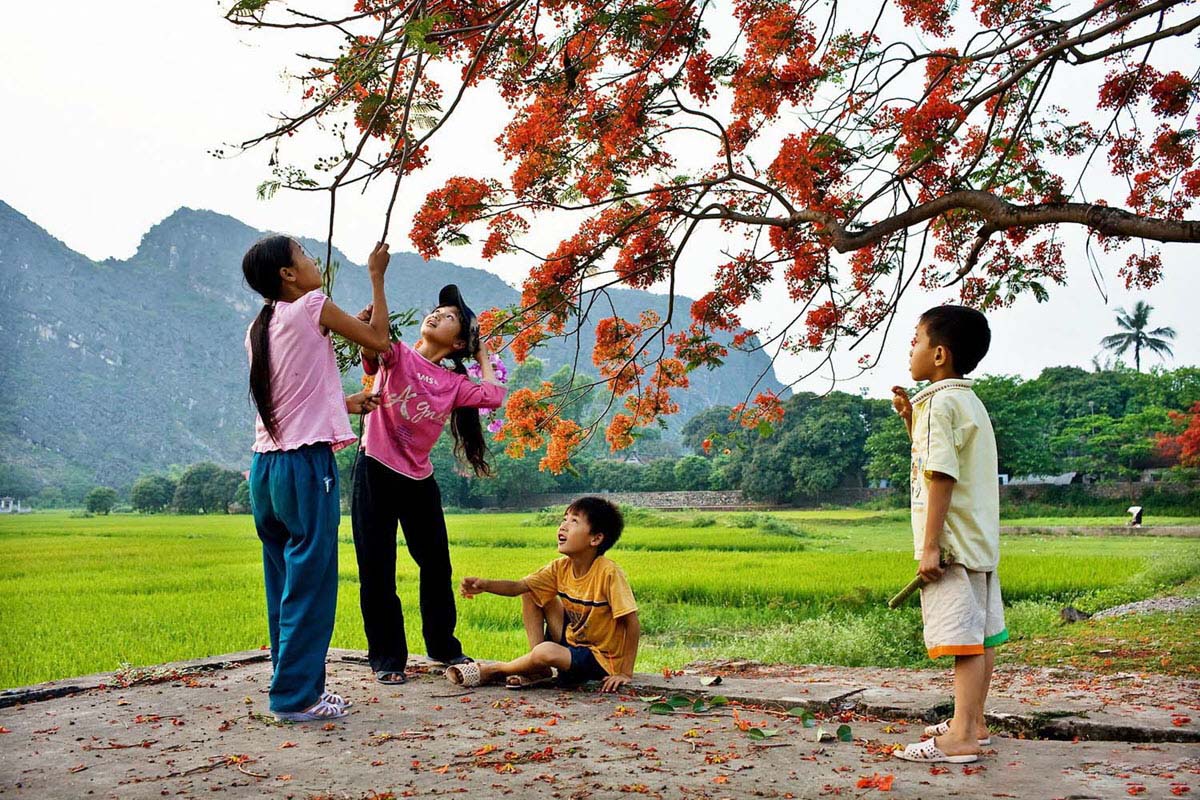 30 Hình ảnh mùa hè đẹp nhất ảnh mùa hạ rực rỡ sắc màu  METAvn