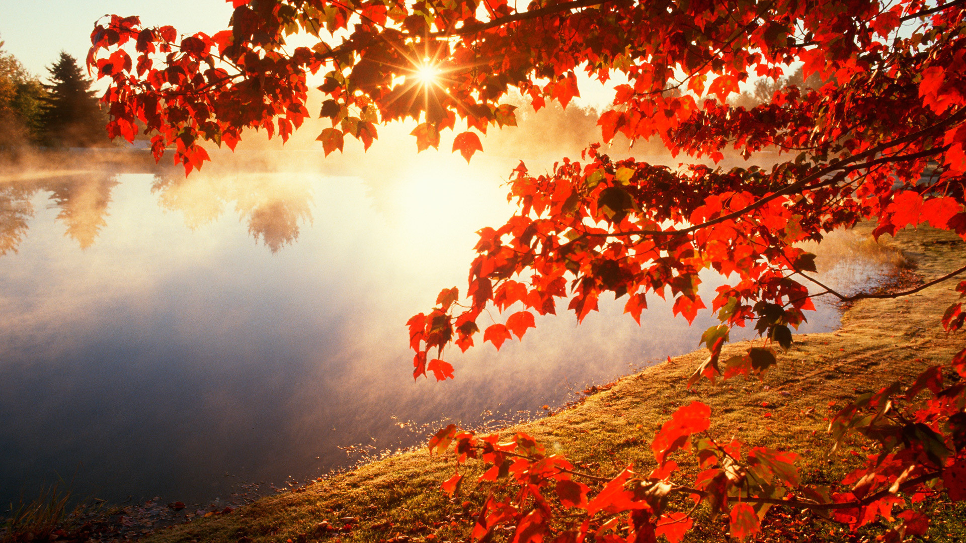 Hình Nền Mùa Thu đẹp Nền HD và Nền Cờ đẹp mỹ học mùa thu phong cảnh để Tải Xuống Miễn Phí Lovepik