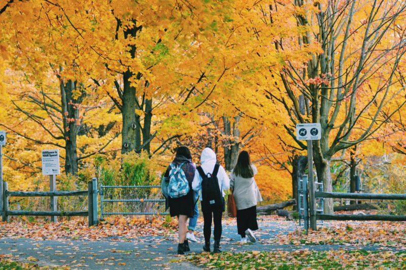 Ảnh mùa thu lãng mạn