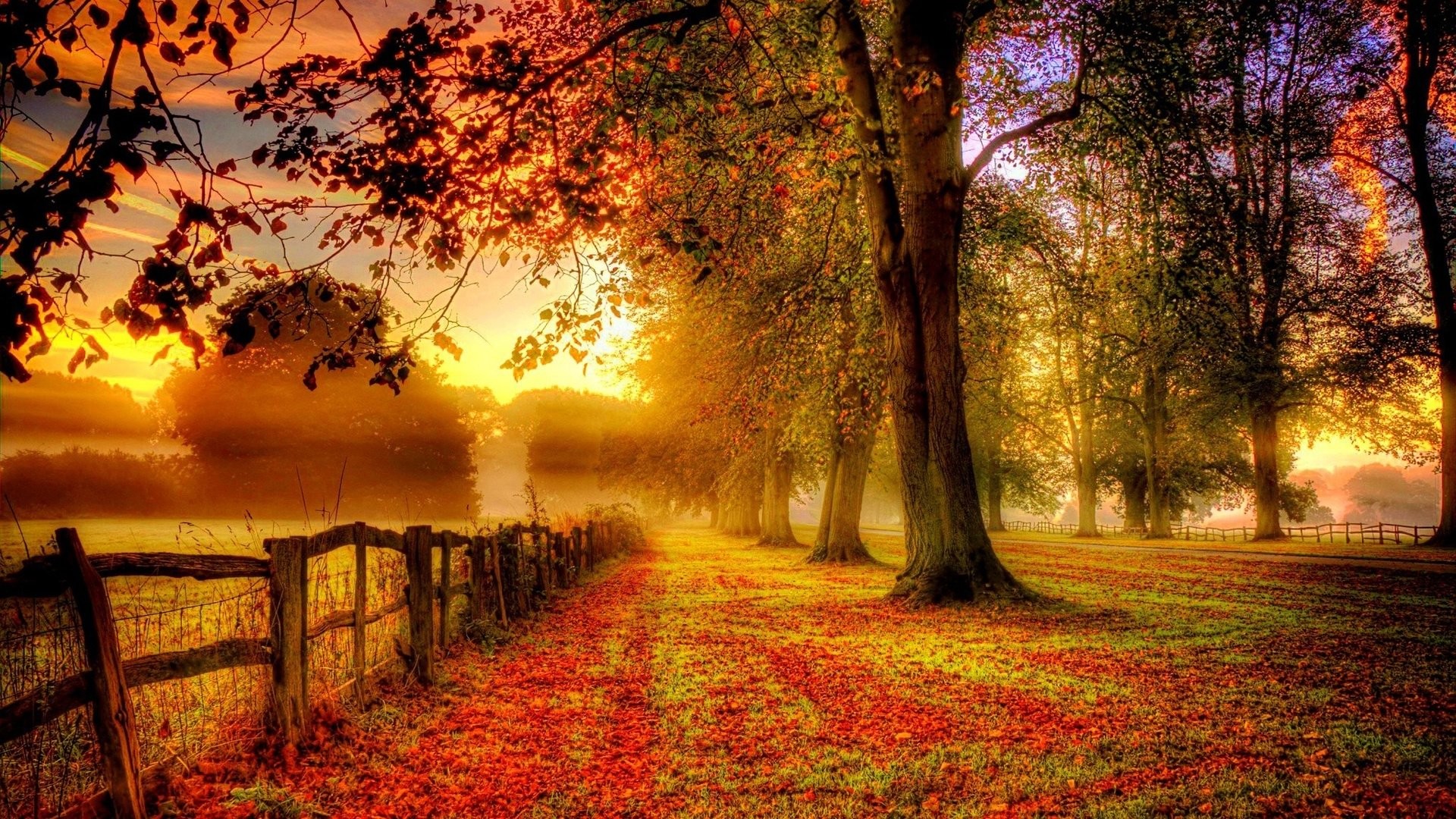 5 điểm đến mùa thu sẽ khiến bạn ngất ngây vì phong cảnh đẹp như trong mơ