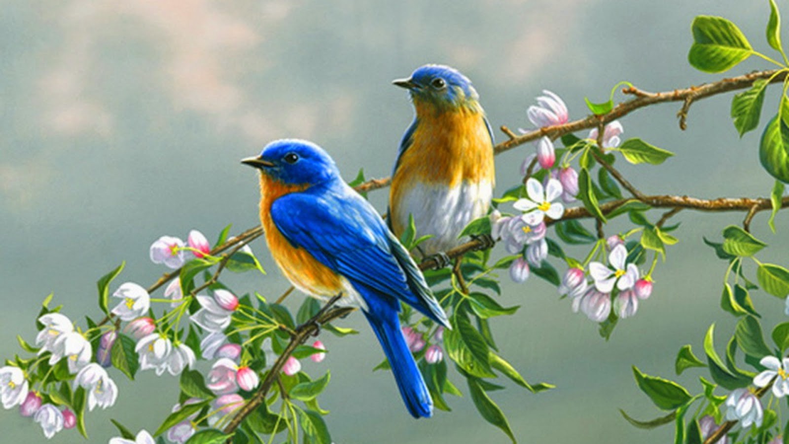 Cập nhật hơn 100 ảnh mùa xuân đẹp hay nhất - thtantai2.edu.vn