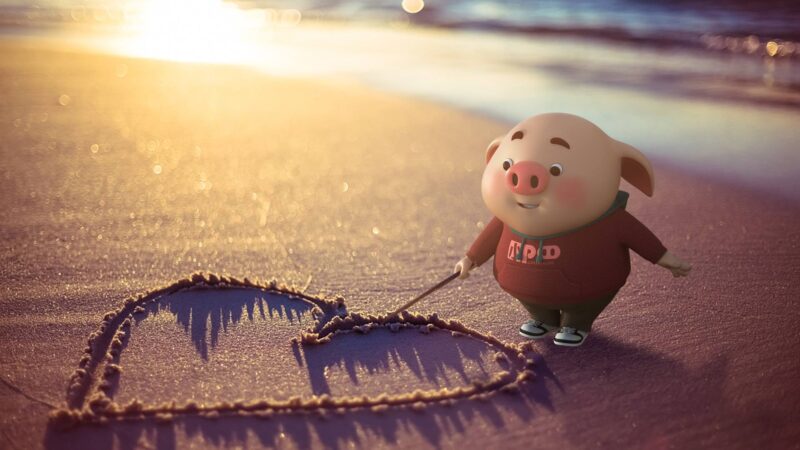 ảnh nền facebook cute heo con vẽ trái tim