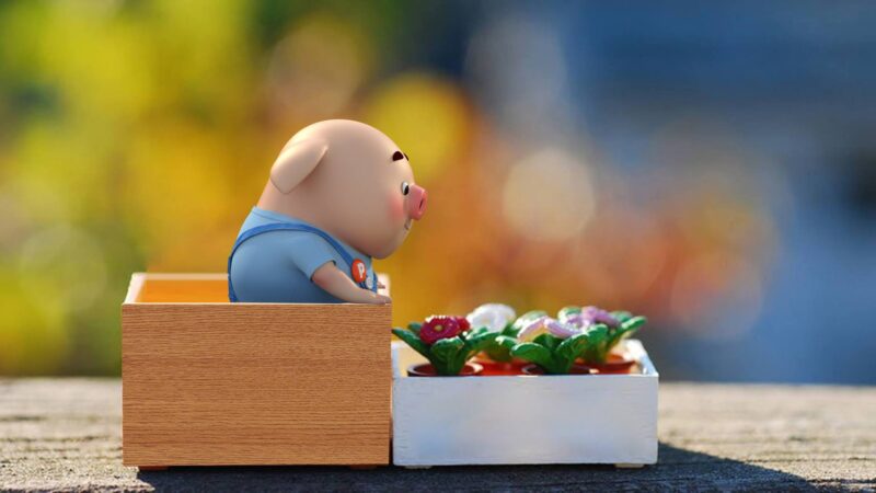 ảnh nền facebook cute heo và bông hoa