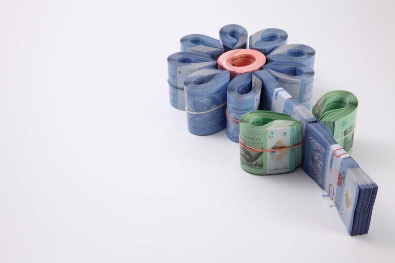 Ảnh nhiều tiền đô xếp bông hoa