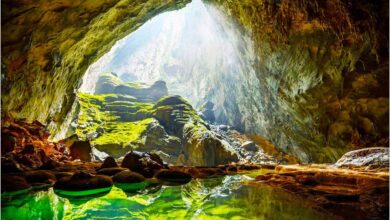 ảnh Phong Nha Kẻ Bàng