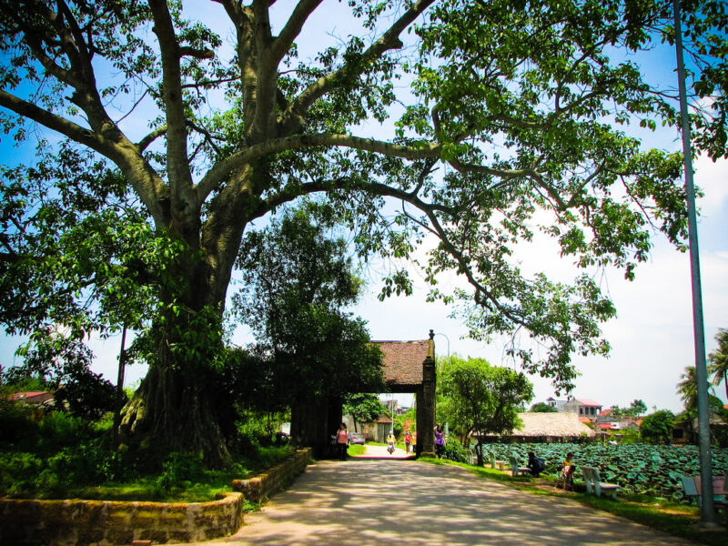 Ảnh quê hương cổng làng