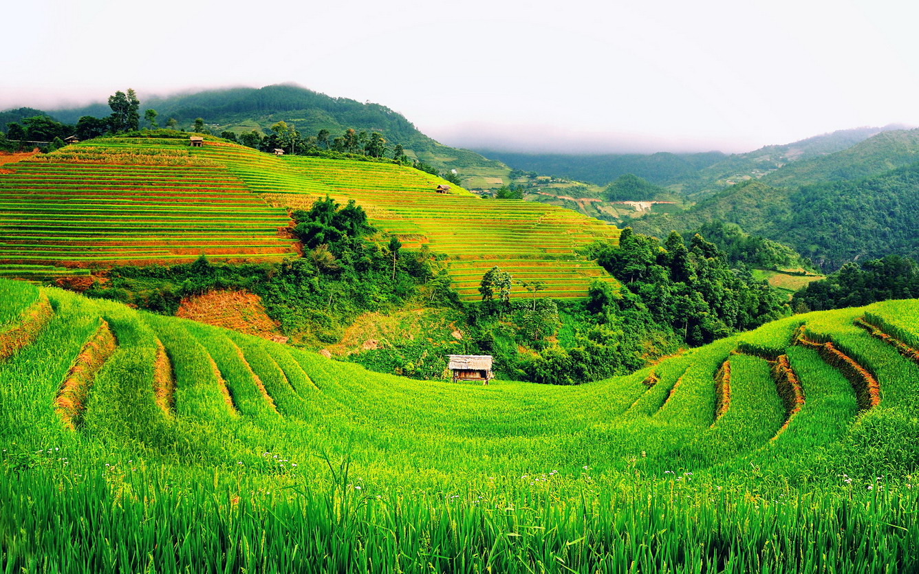 Ảnh Quê Hương Việt Nam Đẹp Bình Yên sẽ đưa bạn đến những vùng quê yên bình và thơ mộng của Việt Nam. Hãy cùng tìm hiểu và đắm mình trong những góc cảnh đẹp tuyệt vời này và cảm nhận niềm tự hào về quê hương.