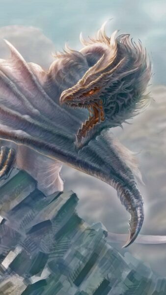 Ảnh rồng trắng đỏ