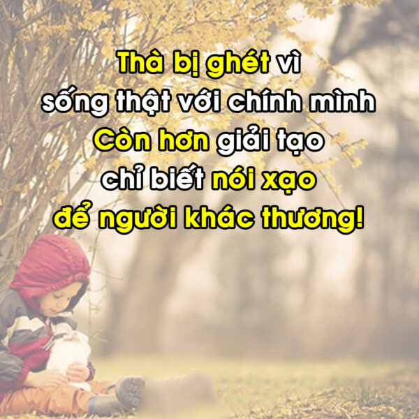 ảnh stt đểu chất