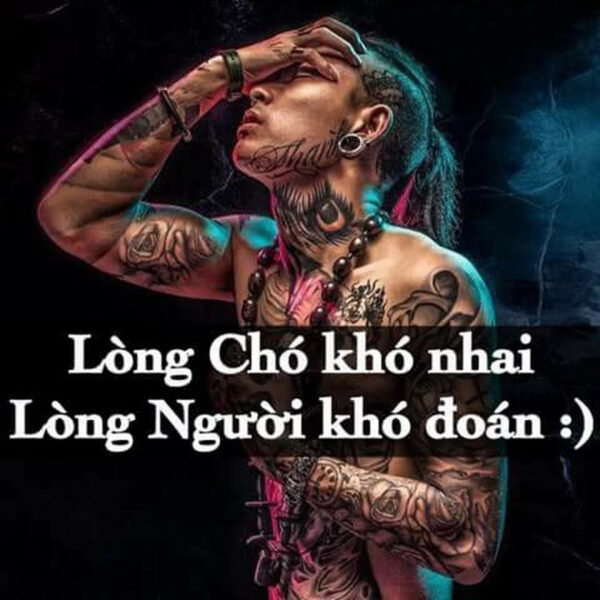 ảnh stt đểu nói về lòng dạ con người