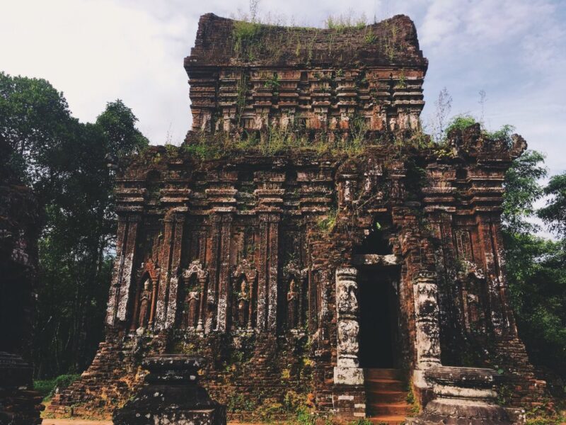 Ảnh thánh địa Mỹ Sơn đẹp (My Son Sanctuary) phủ đầy cỏ như tăng thêm nét huyền bí