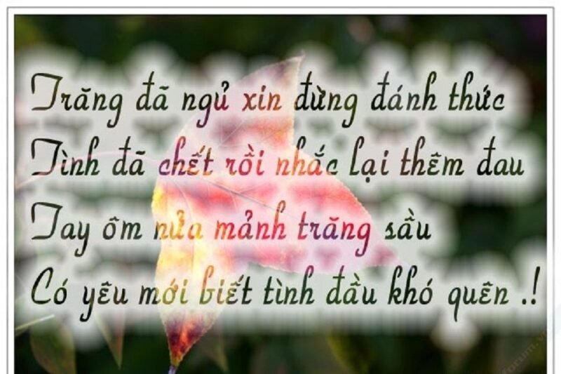 Những hình ảnh thơ hay cho người đã chết trong lòng