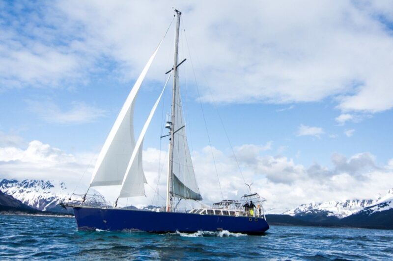 Ảnh thuyền buồm hai cánh trên biển sóng lớn