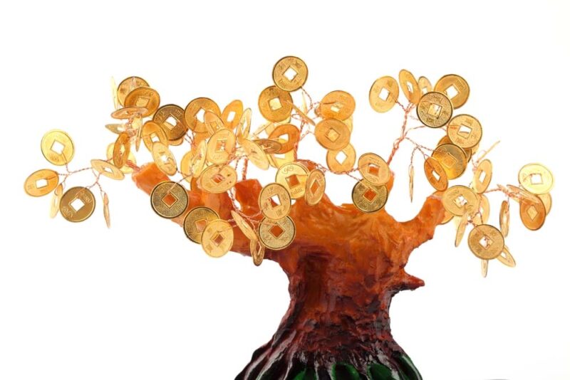 Ảnh tiền đồng xu trên cây