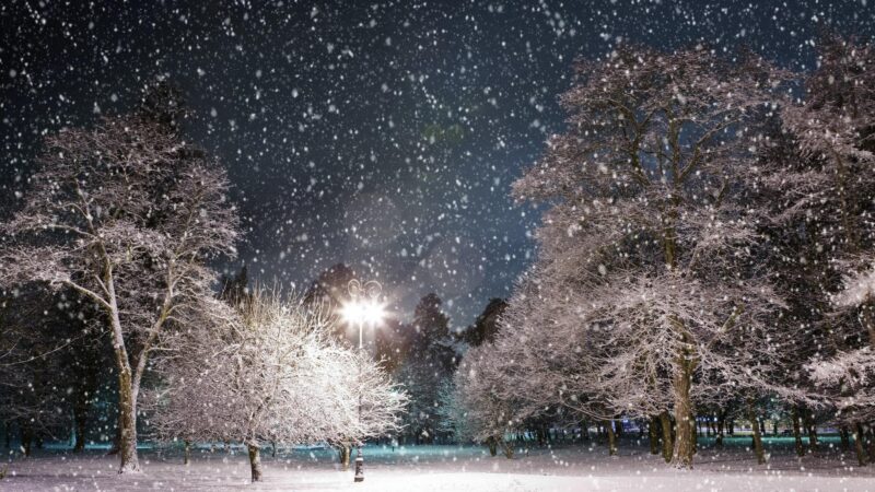 Bilder von Schnee, der nachts fällt