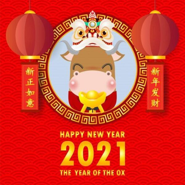 Avatar tết 2021