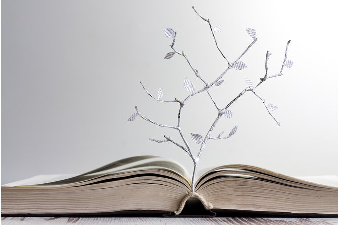 Background book - sách mọc cây đẹp, tinh tế