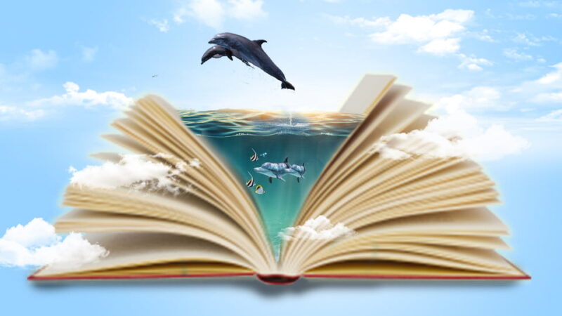 Background book - sách về bối cảnh đại dương
