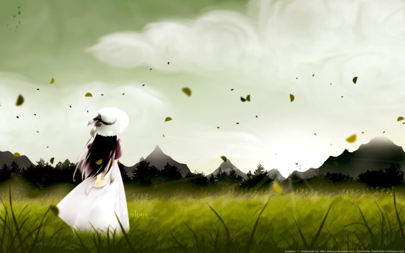 Background buồn cảnh cánh đồng rộng lớn