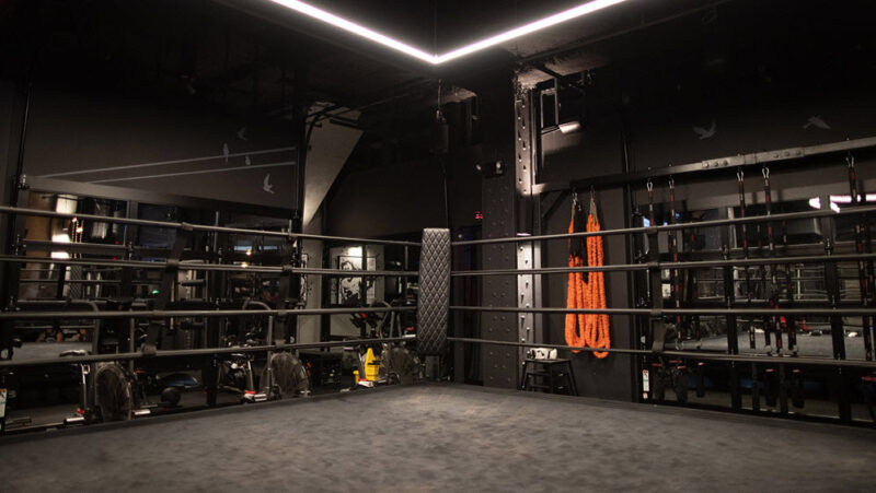 Background Gym phòng tập boxing