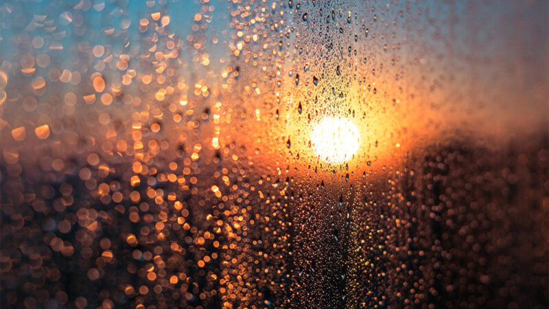 Background mưa vào buổi bình minh