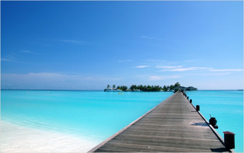 background phong cảnh