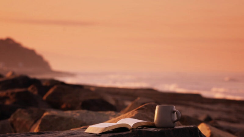 Background phong cảnh đọc sách uống cà phê view biển