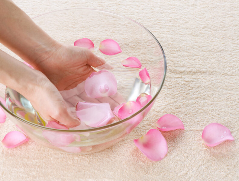 Background spa hoa Hồng