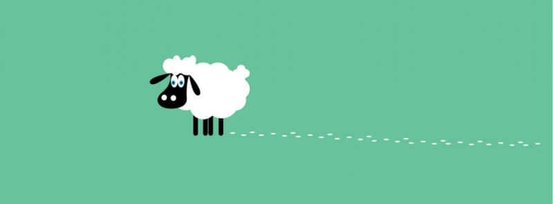 Ảnh bìa cover facebook đẹp chú cừu nhỏ