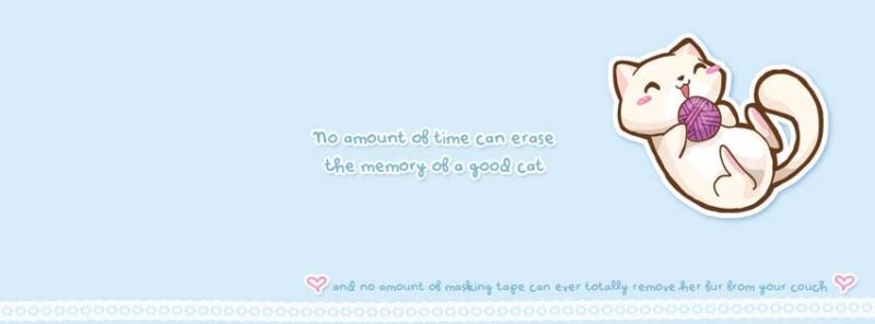 Ảnh bìa cover facebook đẹp chú mèo ôm cuộn len