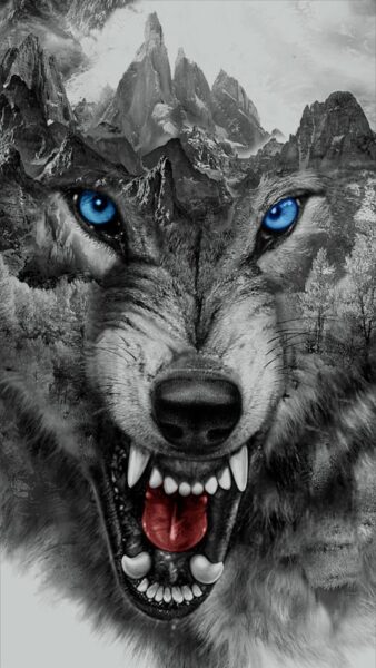 Hình ảnh của một con sói hoang dã