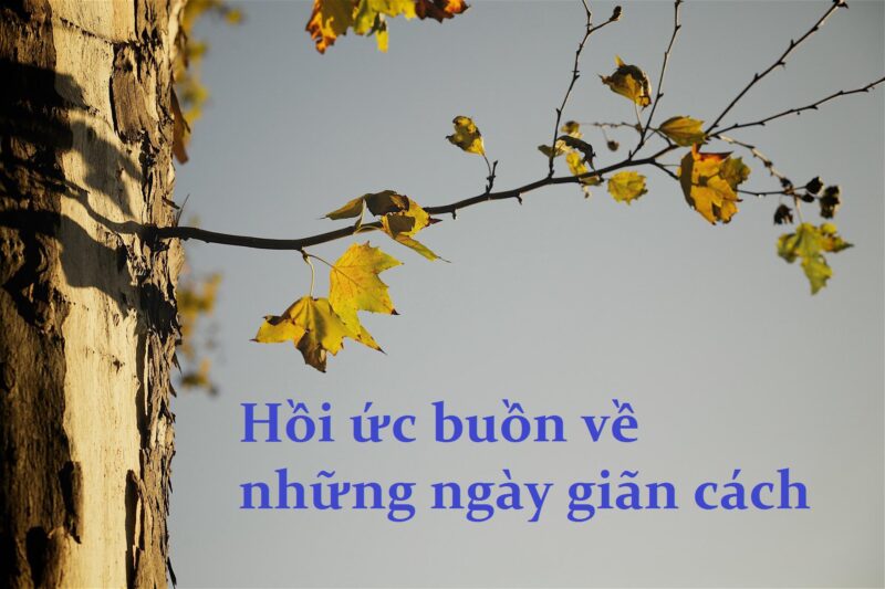 Hình ảnh lời nói buồn và tâm trạng trong ngày chia ly