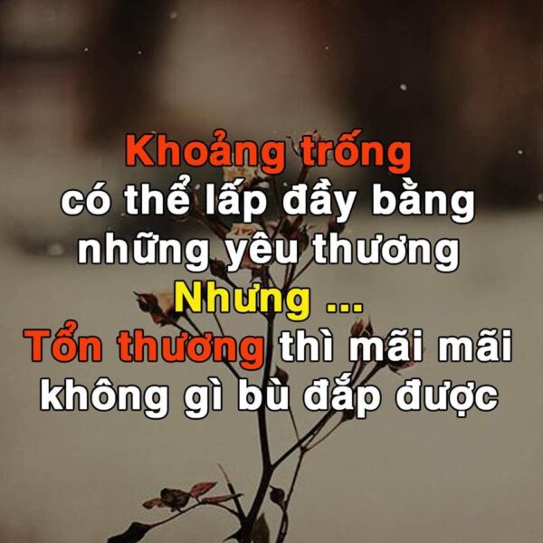 Hình ảnh những lời nói buồn và cảm xúc về sự tổn thương