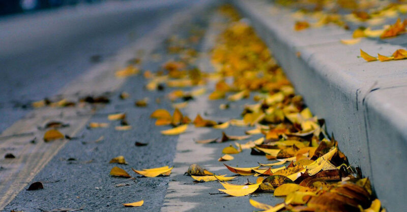 Das Bild trauriger gelber Blätter, die auf den Bürgersteig fallen