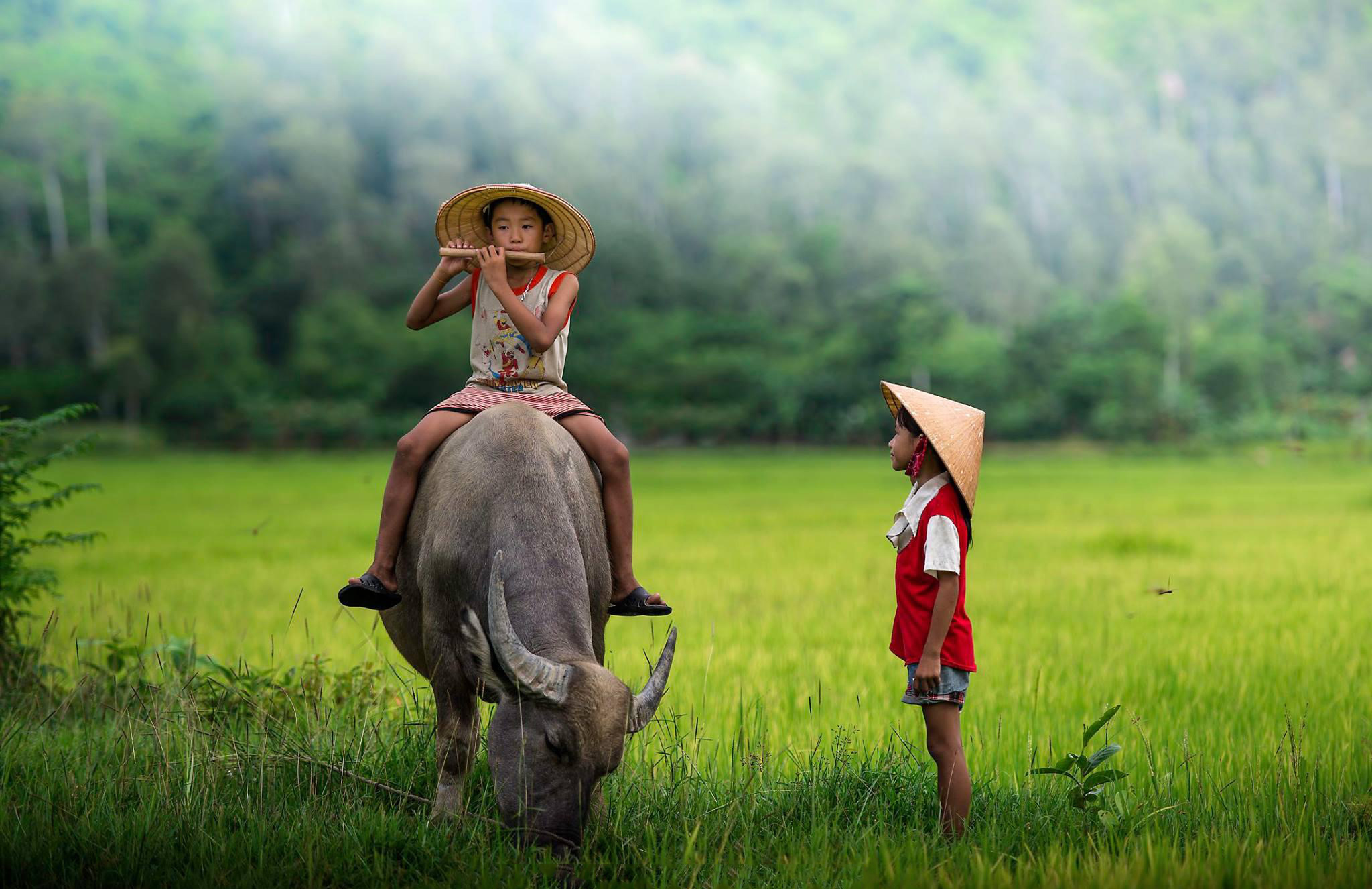 Quê Hương: Hòa mình vào với cảnh đẹp tuyệt vời của quê hương với những cánh đồng xanh, những dòng sông êm đềm, những lễ hội truyền thống và sự hiếu khách của người dân địa phương. Cảm nhận lại bản sắc, truyền thống đặc trưng của đất nước Việt Nam.