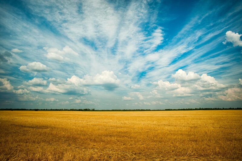 hình ảnh đẹp về đám mây kết hợp với cánh đồng rộng
