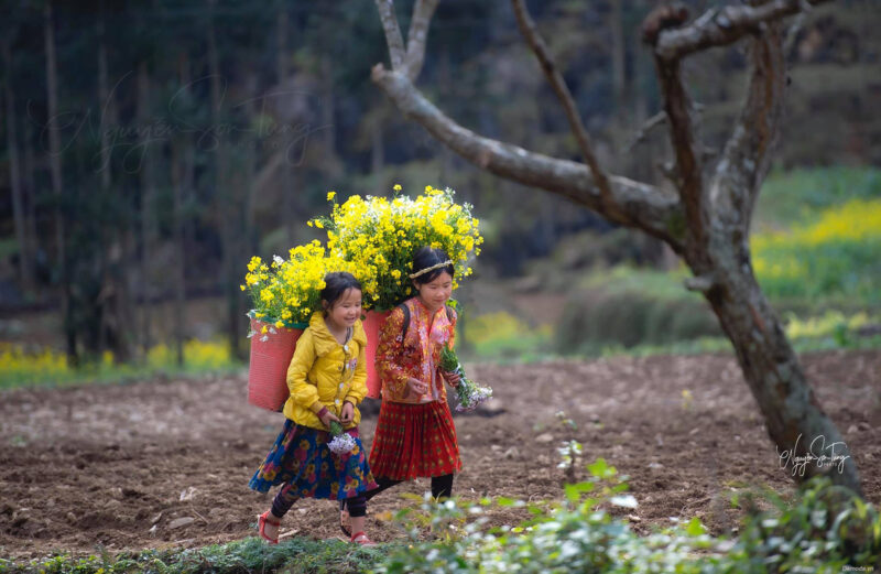 Hình ảnh mùa xuân trên vùng cao