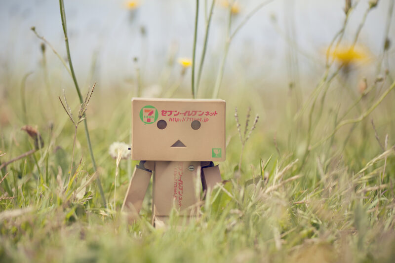 Hình ảnh người gỗ dễ thương đẹp