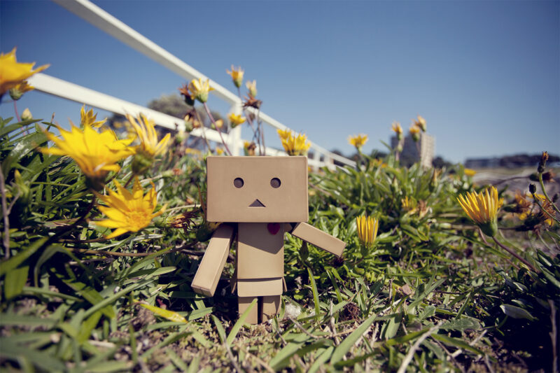 Hình ảnh người gỗ dễ thương và hoa Cúc vàng