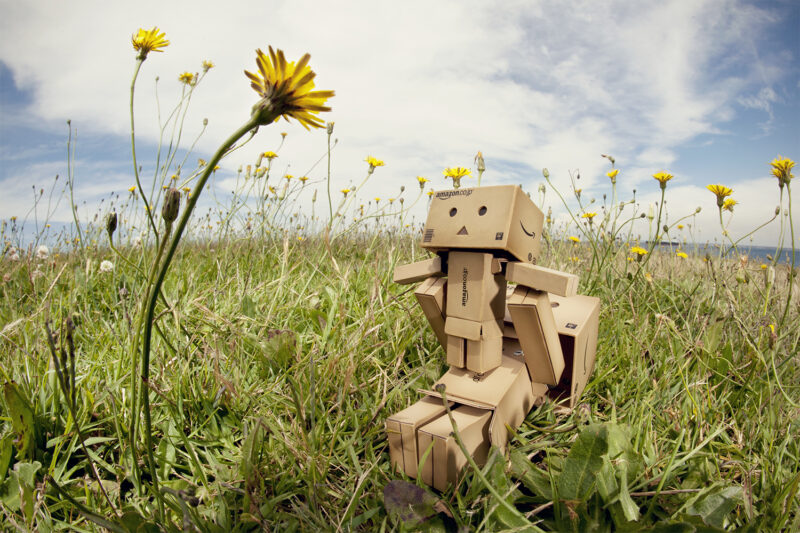 Hình ảnh người gỗ dễ thương vui vẻ