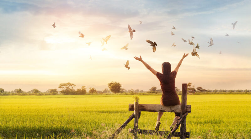 Hình ảnh tuyệt vọng muốn buông bỏ tất cả