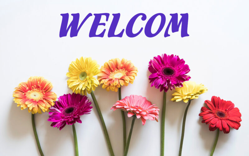 Hình ảnh xin chào cute