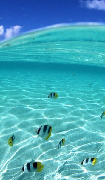 Hình nền biển xanh cho điện thoại