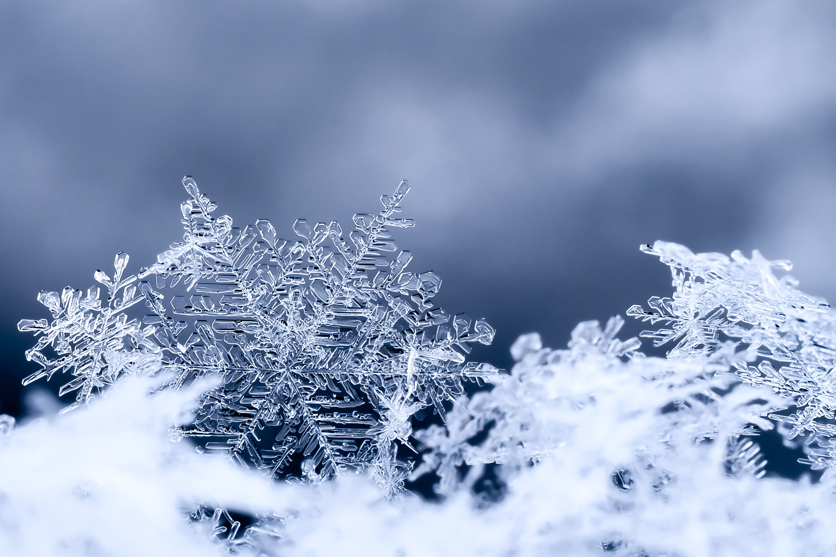 Nếu bạn đang tìm kiếm hình nền lý tưởng cho chiếc máy tính của mình trong mùa đông này, thì hình nền tuyết trắng là đáp án. Chiêm ngưỡng khung cảnh tuyết phủ đầy mạnh mẽ và uy nghi, và cảm nhận sự thanh tịnh của không khí mùa đông.