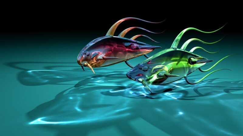 Hinh nền cá 3D dưới nước xanh