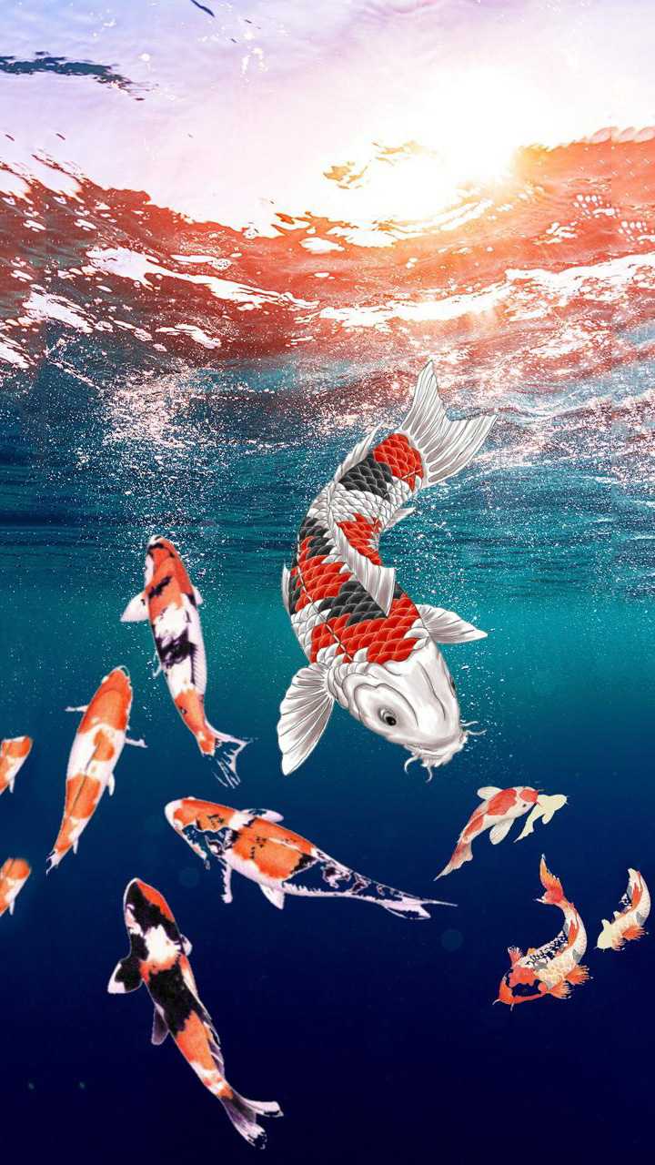 Discover more than 92 latest 3d koi fish wallpapers - thtantai2.edu.vn