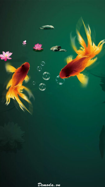 Hình nền iPhone 13 đôi cá Chép